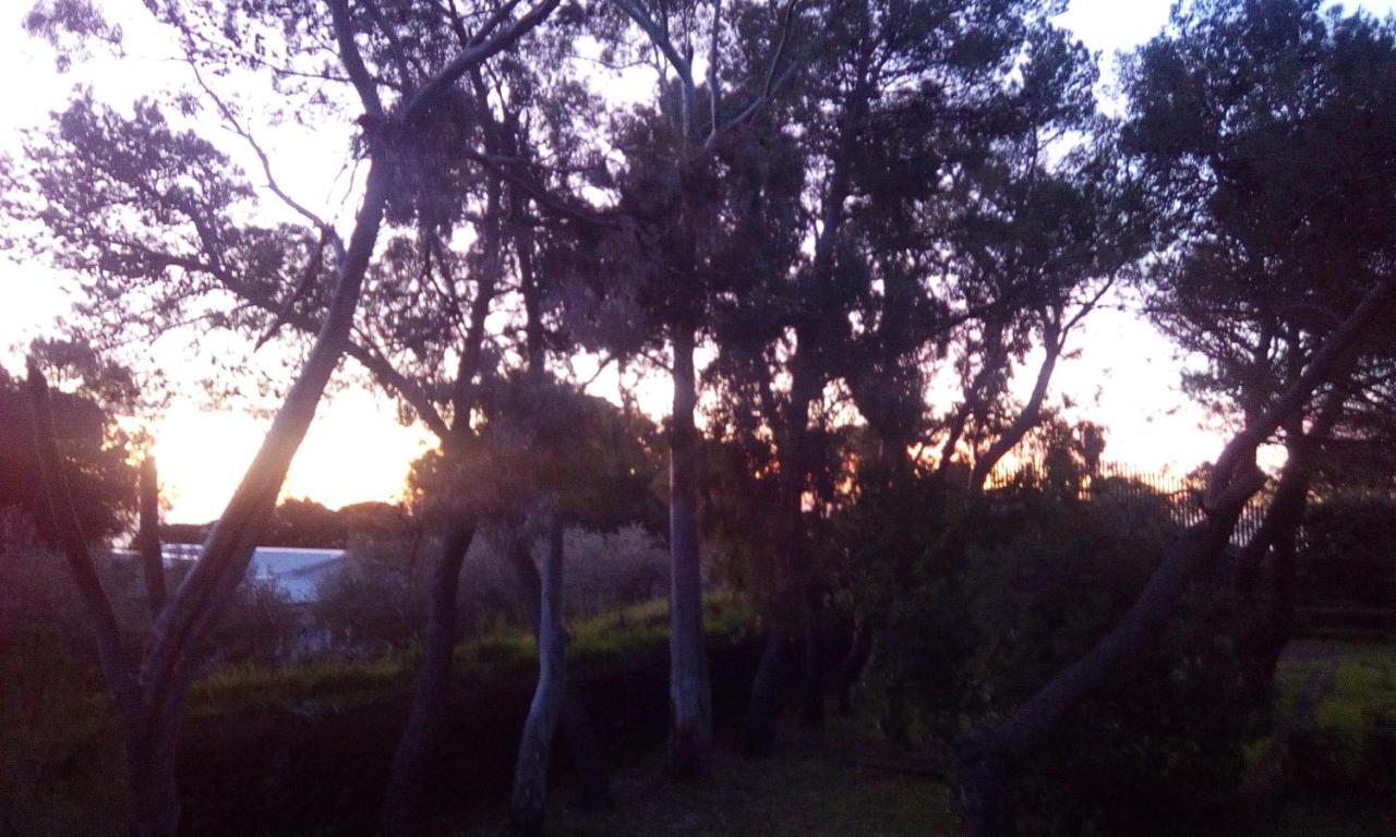 Villa Morgante B&B Pedara Εξωτερικό φωτογραφία