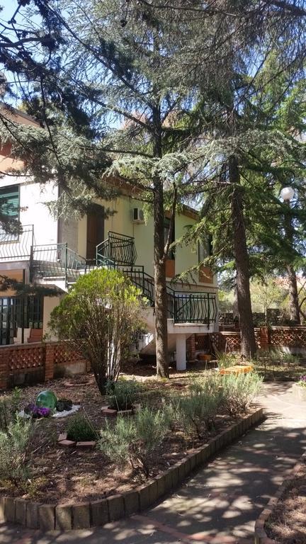 Villa Morgante B&B Pedara Εξωτερικό φωτογραφία