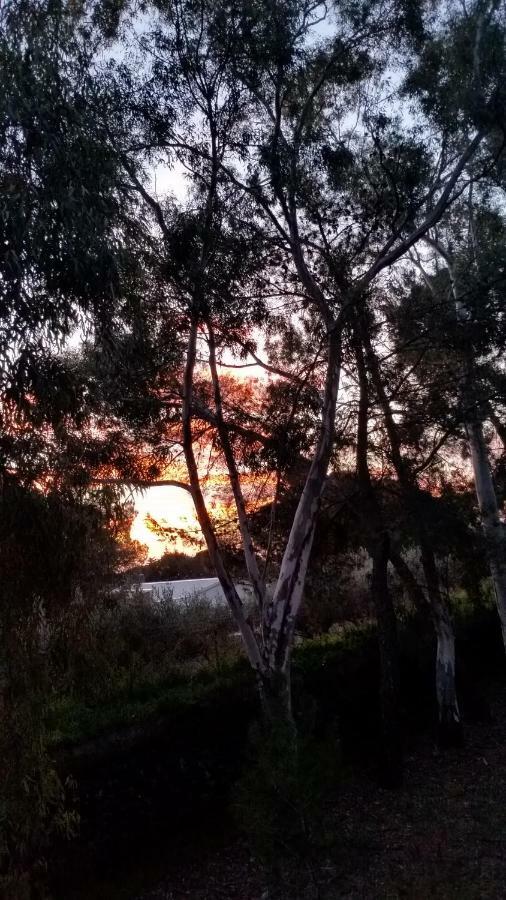 Villa Morgante B&B Pedara Εξωτερικό φωτογραφία