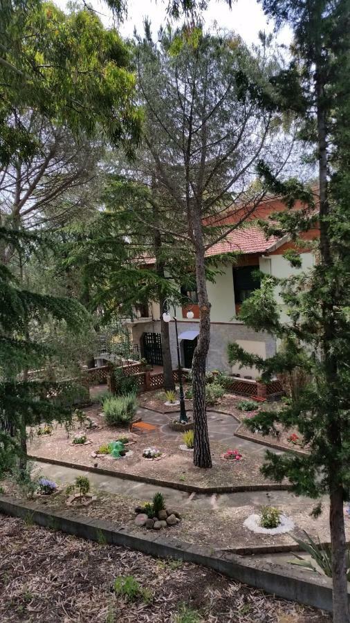 Villa Morgante B&B Pedara Εξωτερικό φωτογραφία