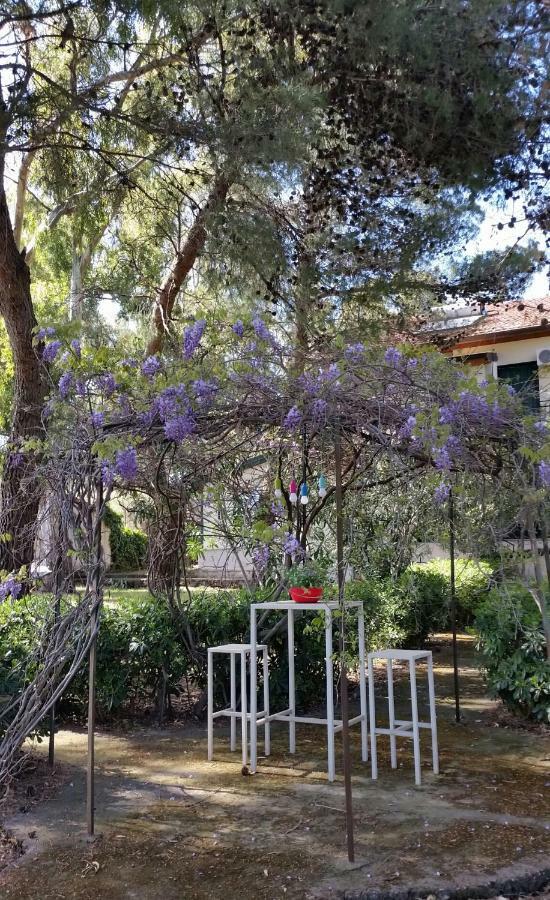 Villa Morgante B&B Pedara Εξωτερικό φωτογραφία
