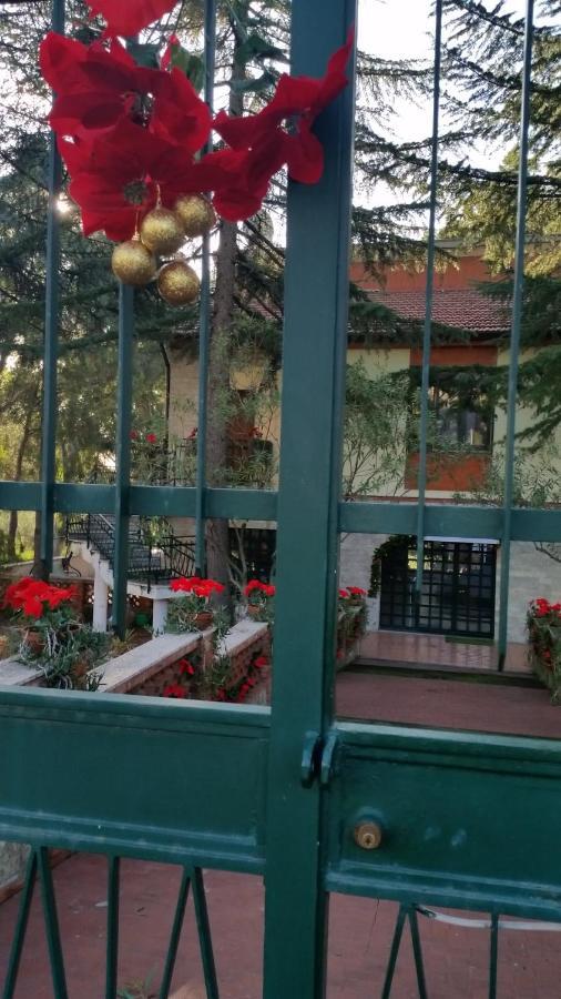 Villa Morgante B&B Pedara Εξωτερικό φωτογραφία